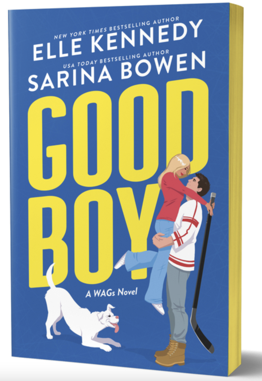 Good Boy - (Wags) (Paperback)