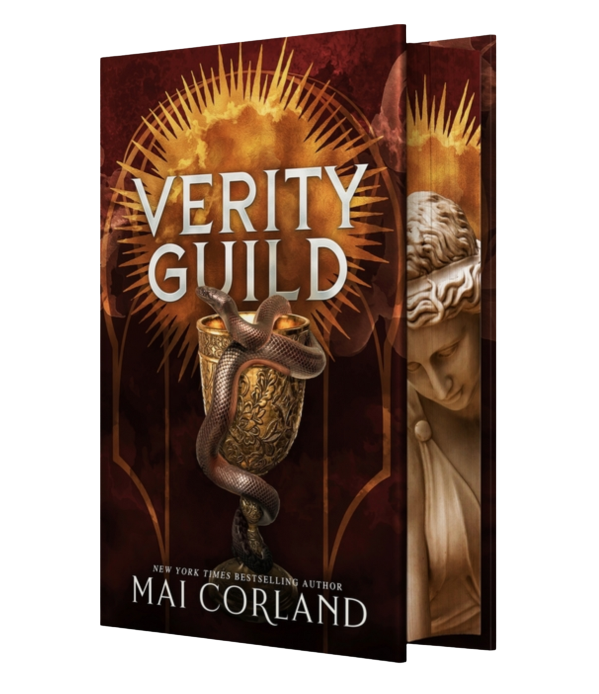 Verity Guild - (Hardcover)