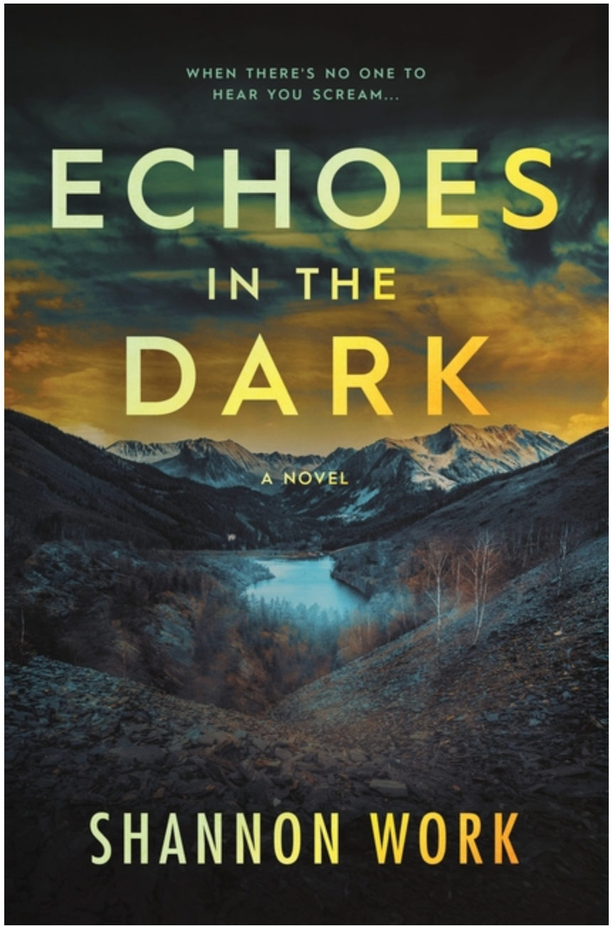 Echoes in the Darkness- Shannon Work