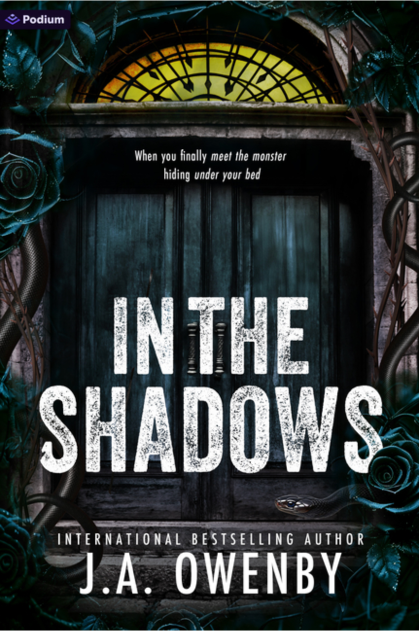 In the Shadows - (Paperback)