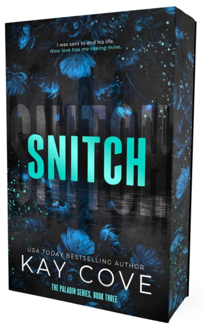 Snitch (Paperback)