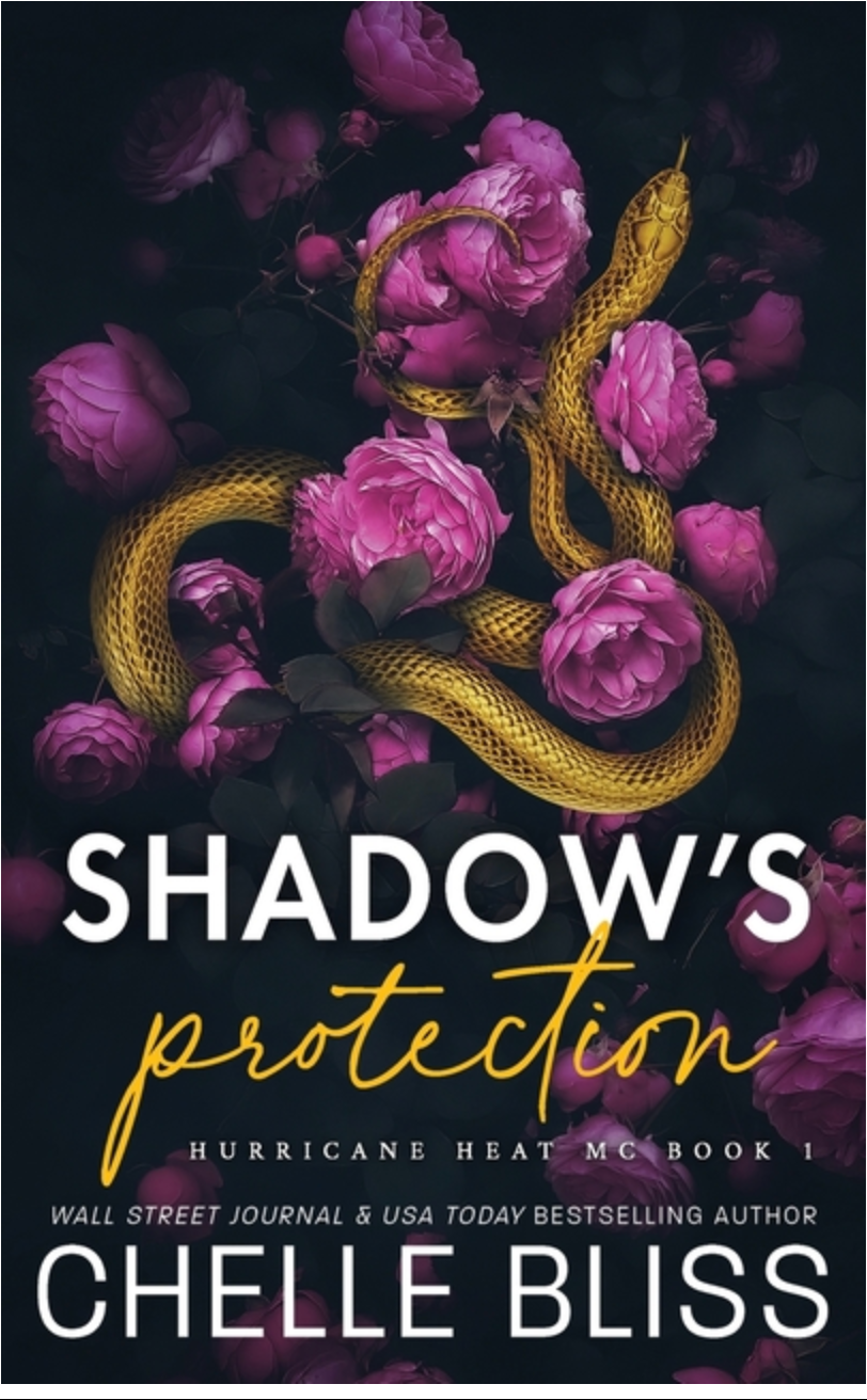 Shadow's Protection - (Hurricane Heat) by Chelle Bliss (Paperback)