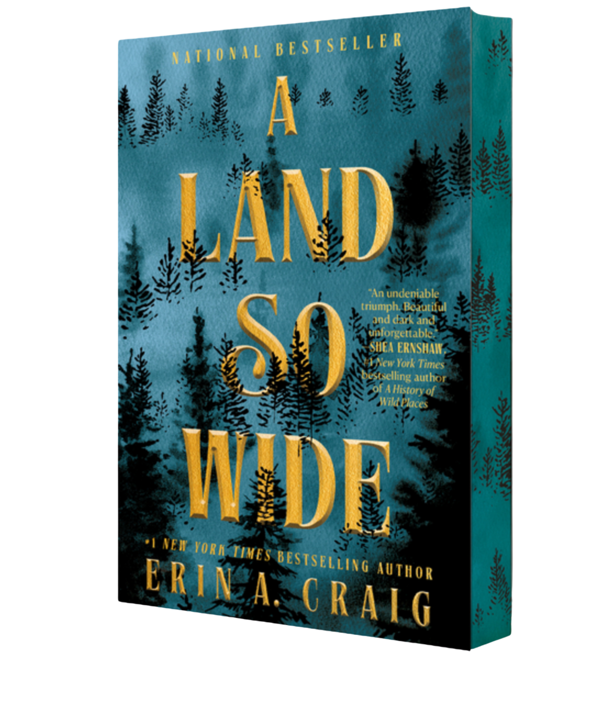 A Land So WIde- Erin A. Craig