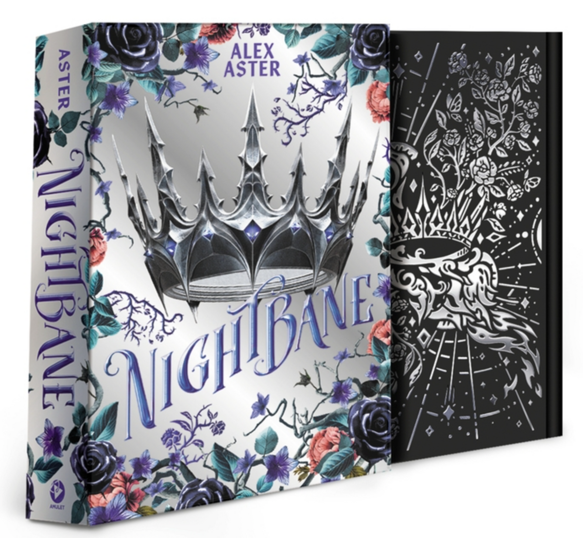 Nightbane Deluxe Edition - (Hardcover)