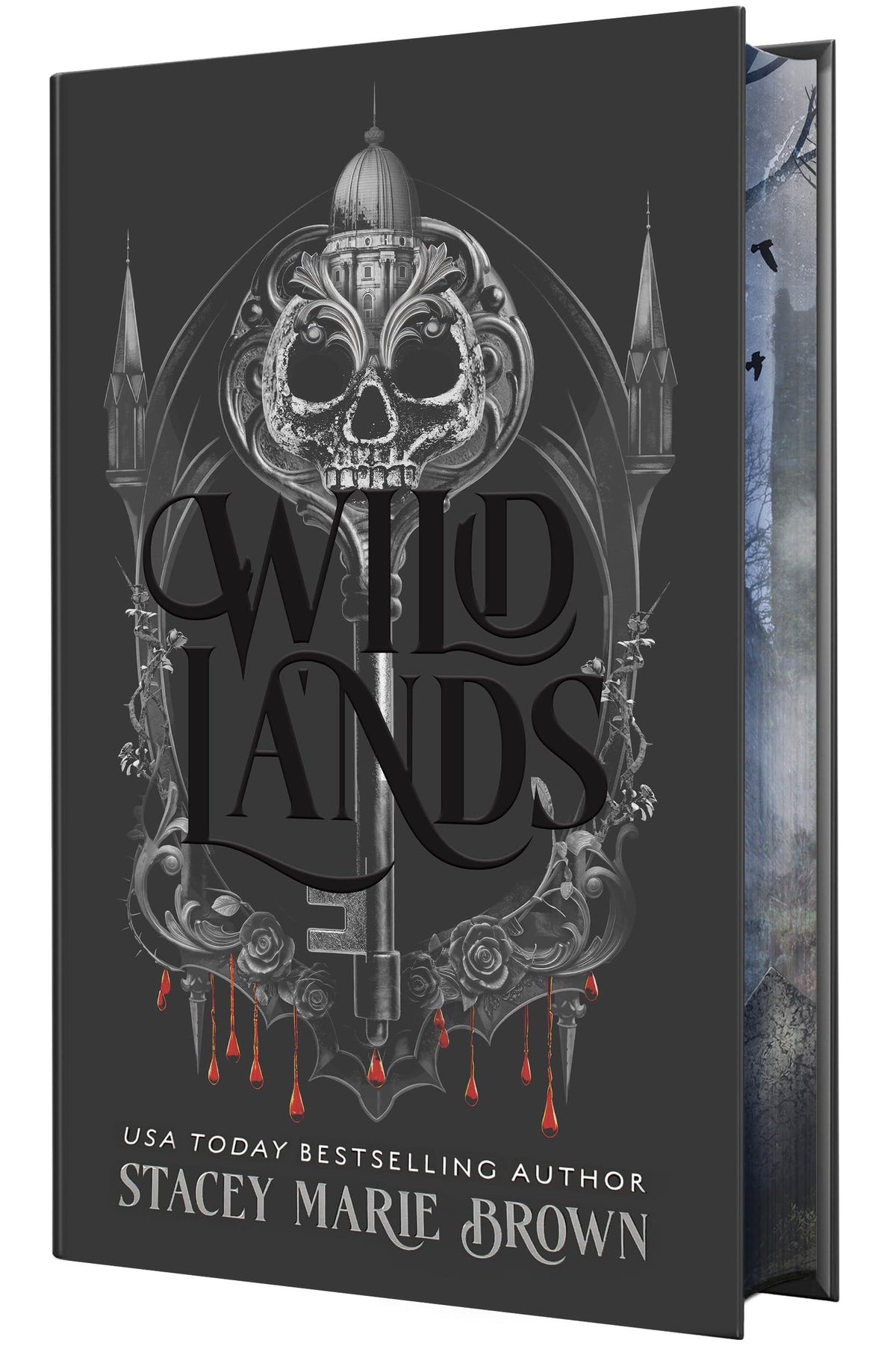 Wild Lands (The Savage Lands Series)