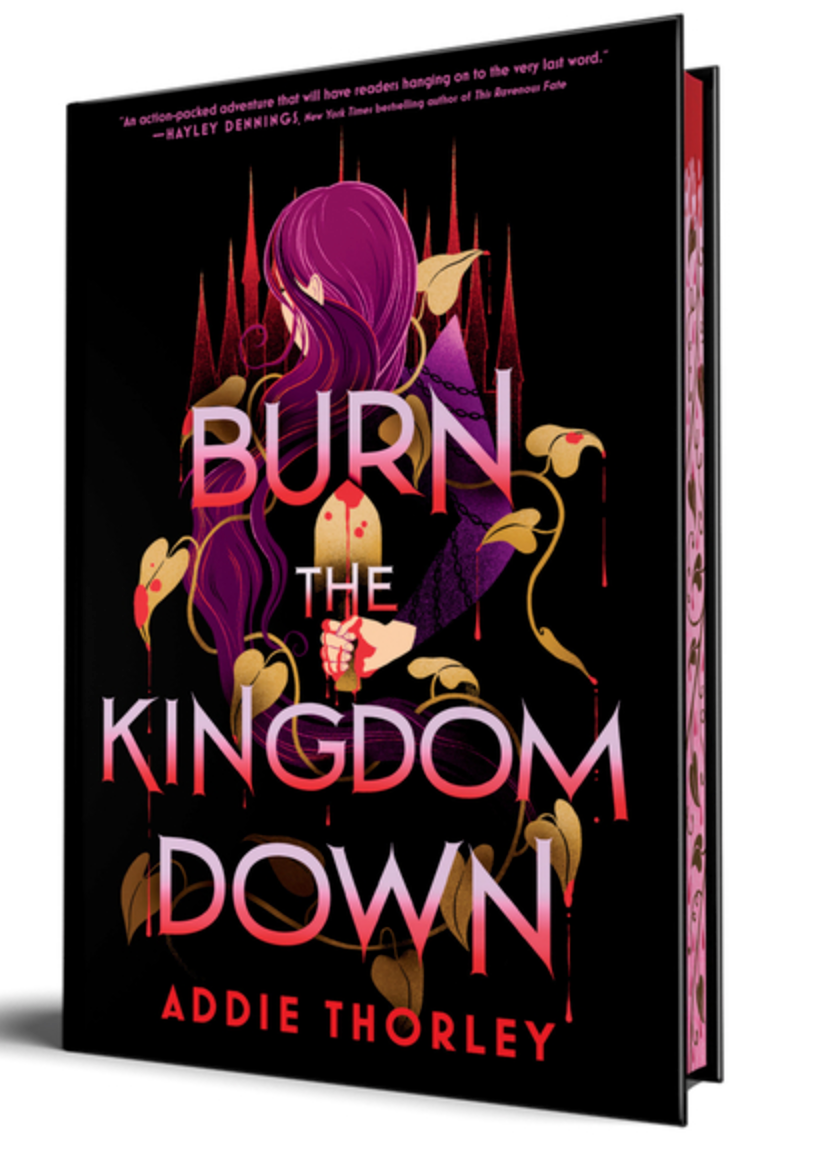 Burn the Kingdom Down - (Hardcover)