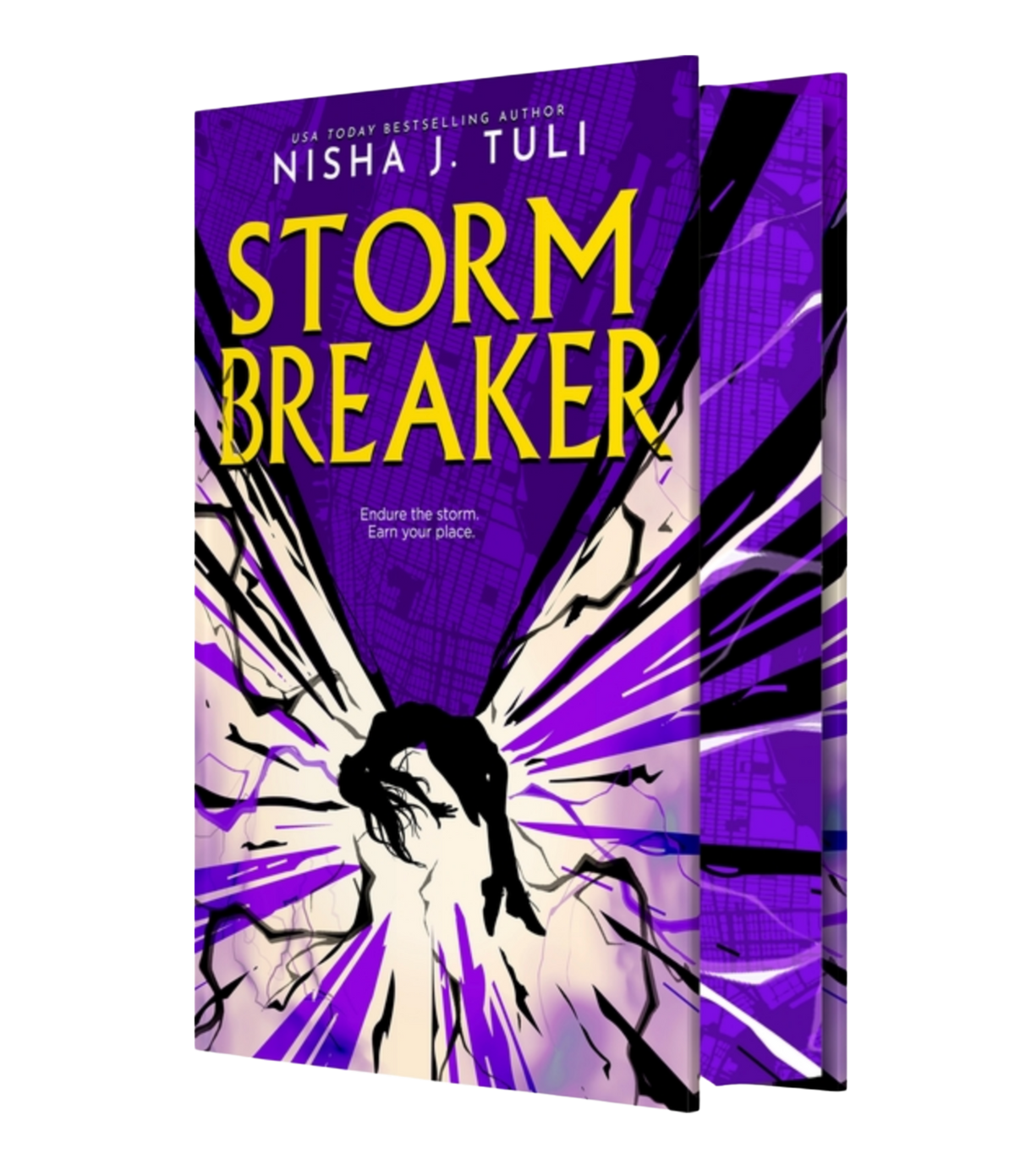 Stormbreaker -(Hardcover)