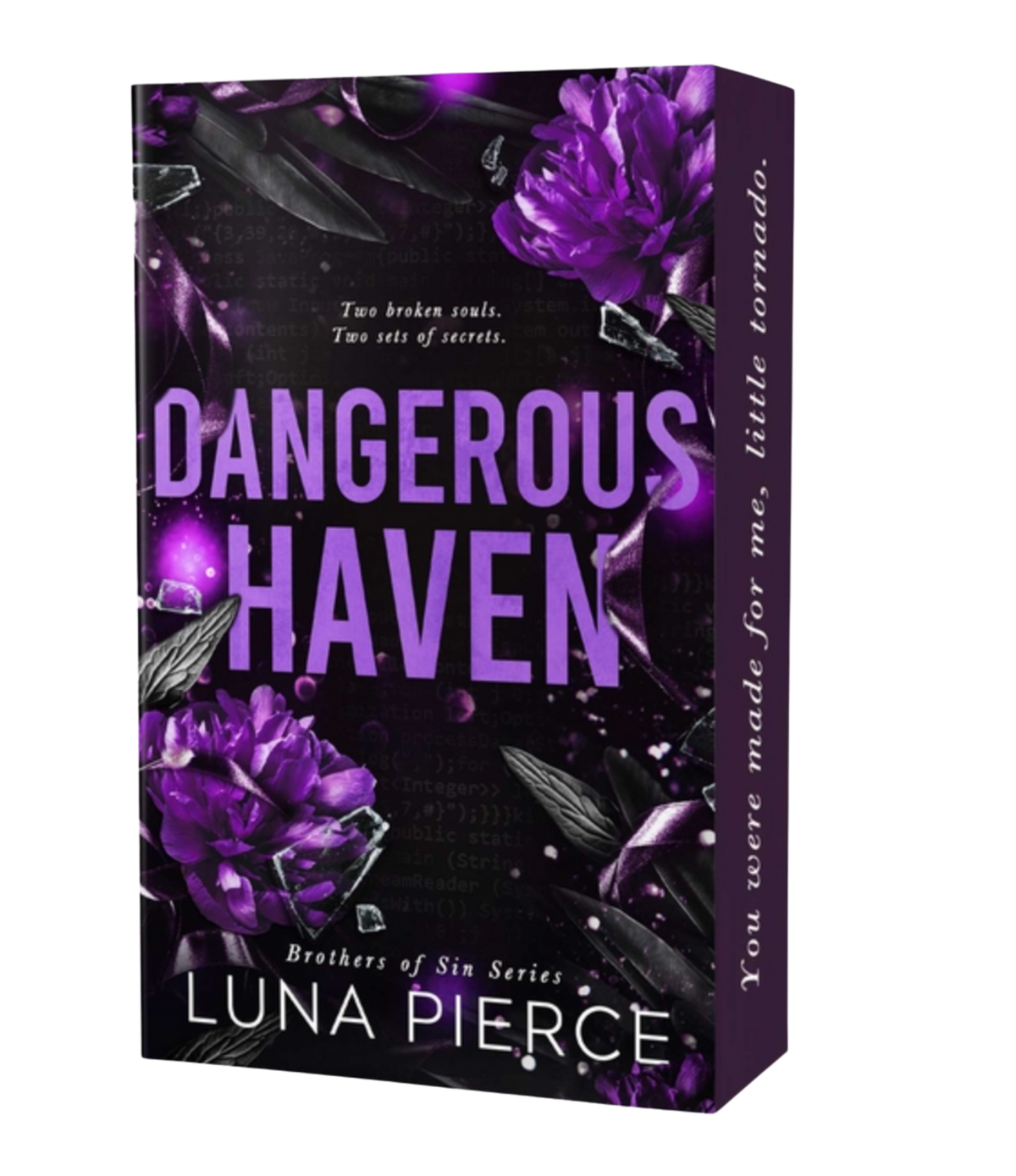 Dangerous Haven- Luna Pierce