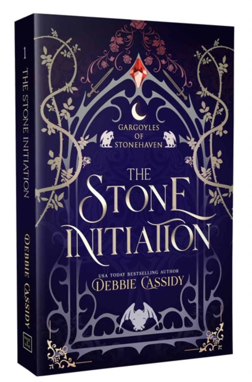 The Stone Initiation -by Debbie Cassidy (Paperback)