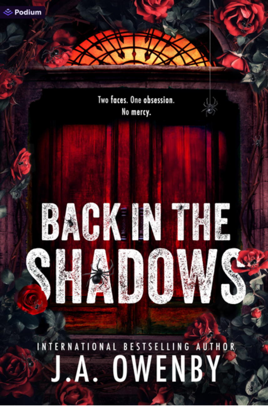 Back in the Shadows - (Paperback)