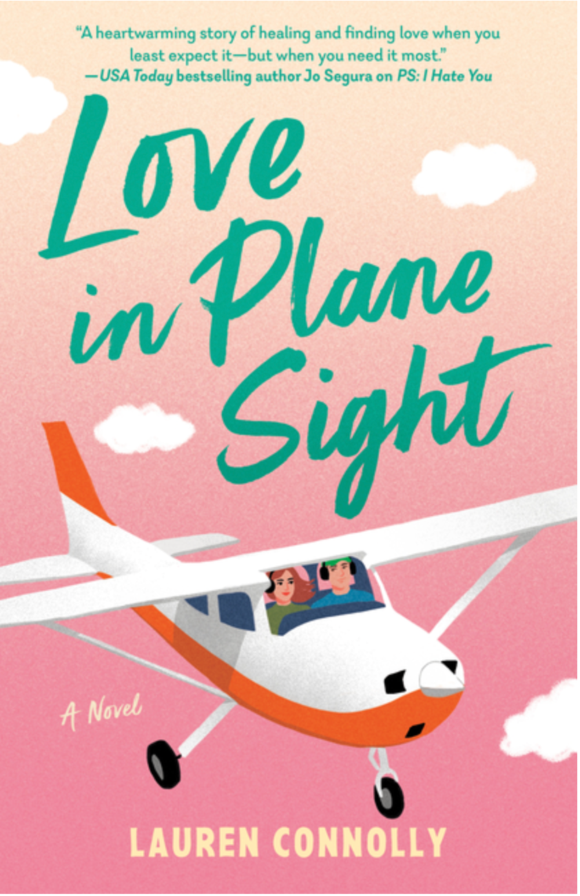 Love in Plane Sight - (Paperback)