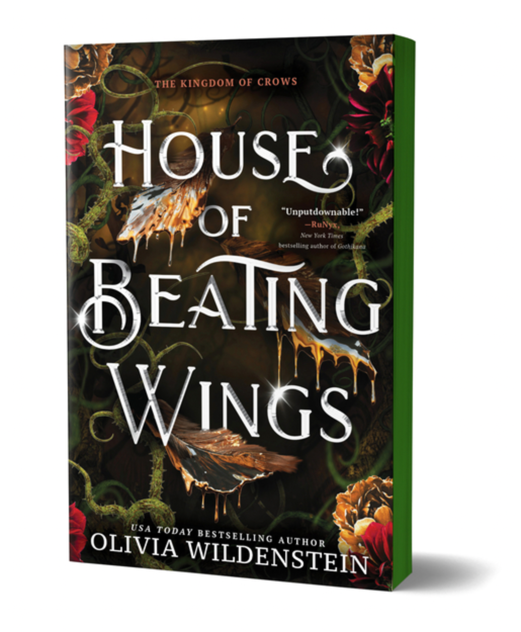 House of Beating Wings (Deluxe Edition) - (The Kingdom of Crows)(Paperback)